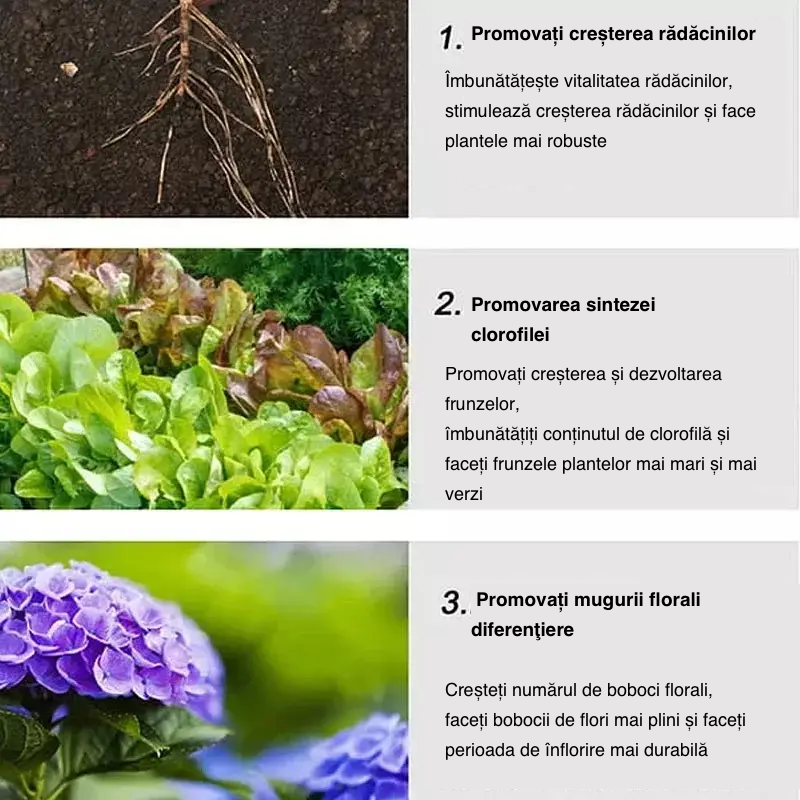 2024 Grădinărit acasă îngrășământ cu eliberare lentă flori în ghivece suculente potrivite pentru îngrășăminte organice de uz casnic