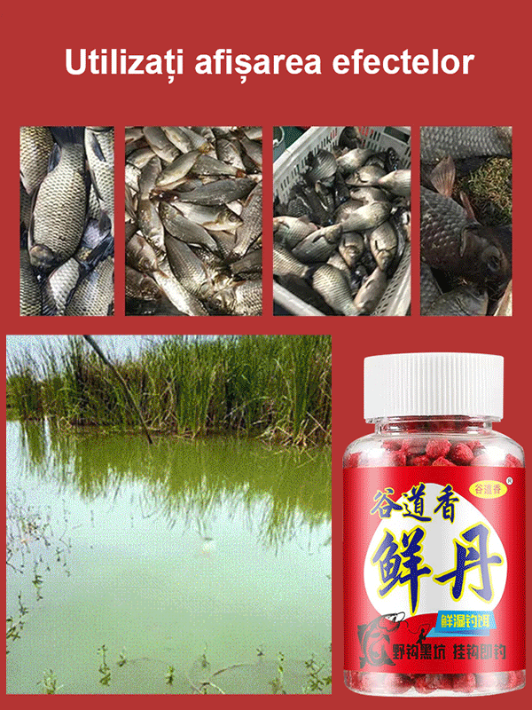 【Prindeți pește în câteva secunde】【5/10/15 piesă 】Particule proaspete de momeală din proteine animale Marfă cautată