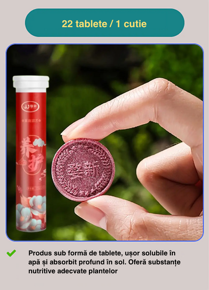 2024 Grădinărit acasă îngrășământ cu eliberare lentă flori în ghivece suculente potrivite pentru îngrășăminte organice de uz casnic