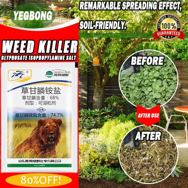[Cumpărați unul, primiți unul gratuit] Fosfatul uscat de amoniu glifosat ucide și previne toate tipurile de buruieni, cățărători și viță de vie
