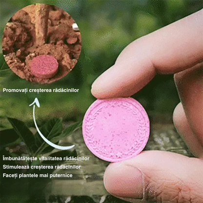 2024 Grădinărit acasă îngrășământ cu eliberare lentă flori în ghivece suculente potrivite pentru îngrășăminte organice de uz casnic