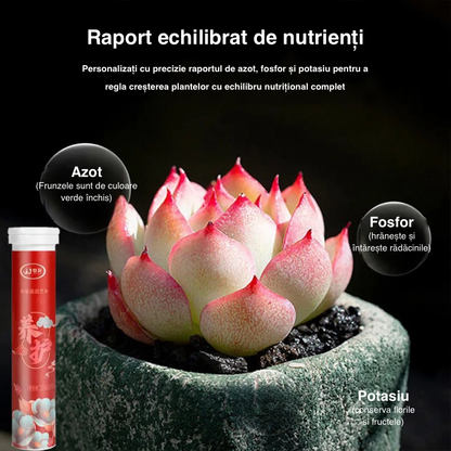 2024 Grădinărit acasă îngrășământ cu eliberare lentă flori în ghivece suculente potrivite pentru îngrășăminte organice de uz casnic