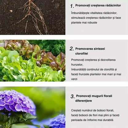 2024 Grădinărit acasă îngrășământ cu eliberare lentă flori în ghivece suculente potrivite pentru îngrășăminte organice de uz casnic