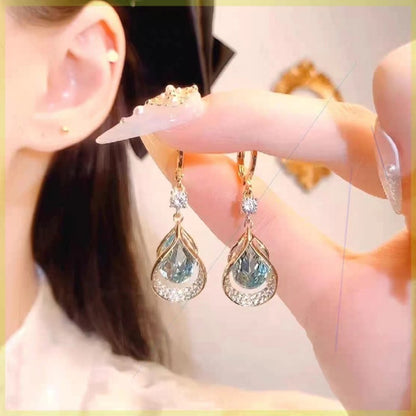 [Cumpărați 1 obțineți 2] Cercei magnetici cu flux limfatic